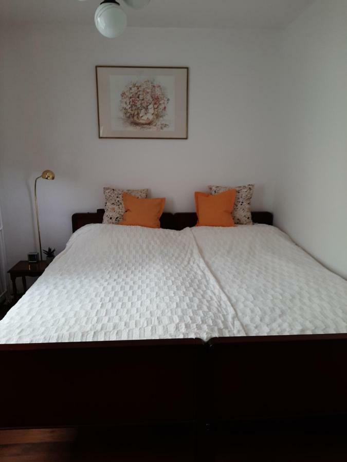 Apartmán Apartament Piastowska Kamienna Gora Exteriér fotografie